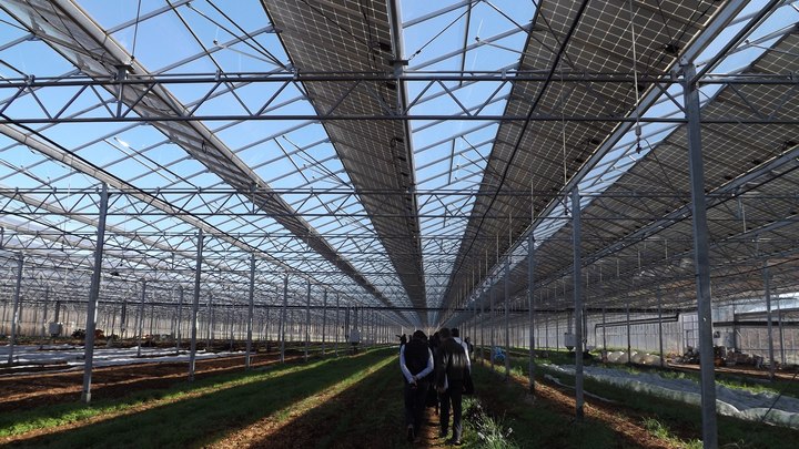 Agrivoltaïsme : serre avec solaire photovoltaïque (photo PNRL-Françoise Delville)