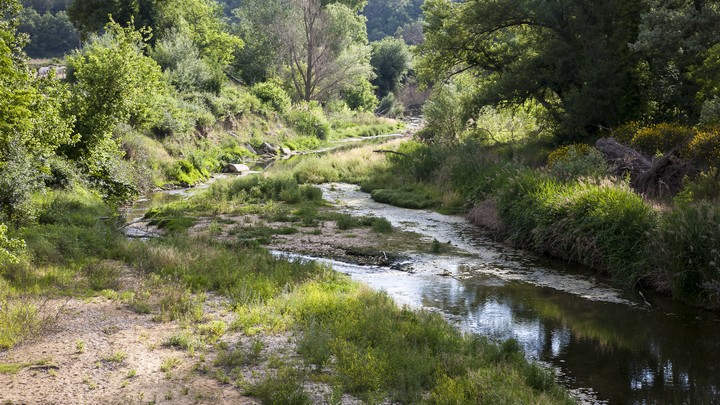 Le Calavon à la Virginière (photo David Tatin)