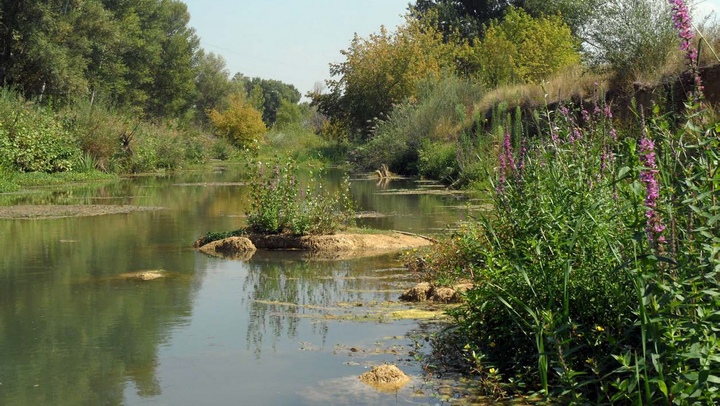 Le Calavon-Coulon à la Virginière (photo PNRL-Jérôme Brichard)