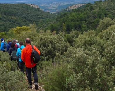 Les sorties buissonnières d'automne