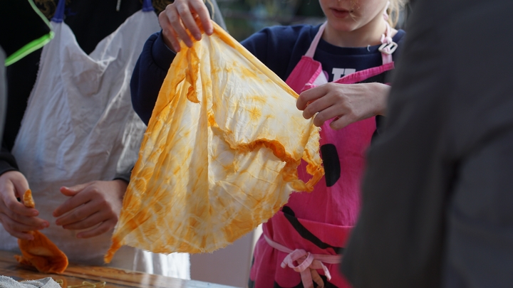 Atelier de teinture végétale (photo PNRL-S. Legal)