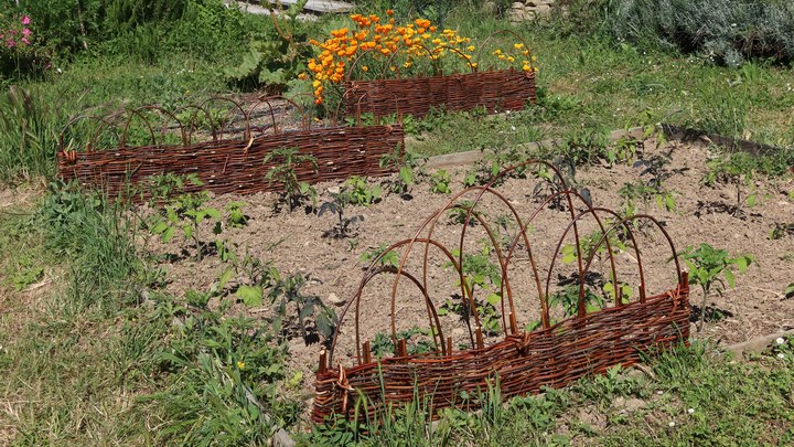 Vannerie au jardin (photo PNRL-S. Louis)