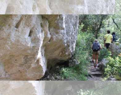 Les sorties buissonnières du Parc