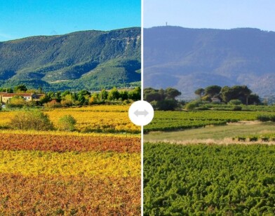 L'observatoire photographique du paysage